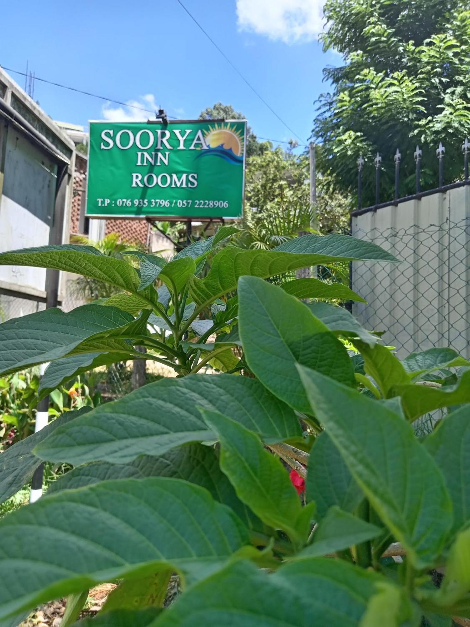 Soorya Inn Ella Exteriör bild